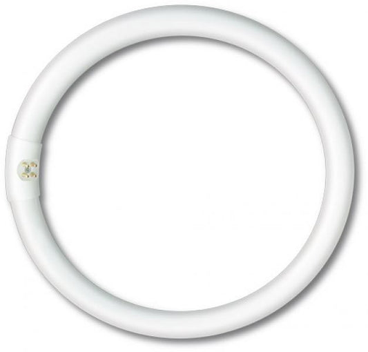 Luz fluorescente circular - reposição