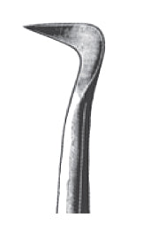 Seldin elevador raiz - esquerda