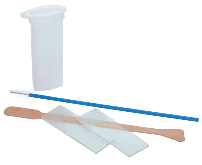 PAP TEST KIT sem espéculo - estéril - caixa com 10 pcs